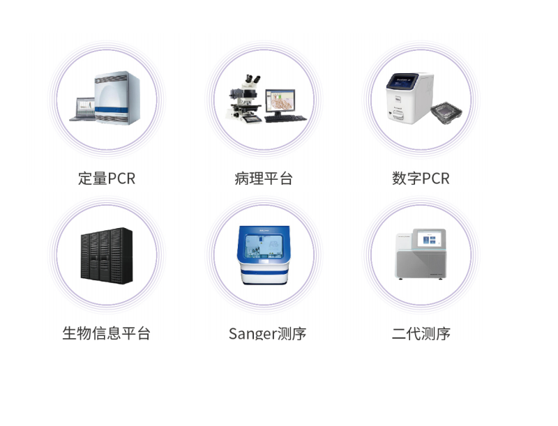 ×ðÁú¿Ê± - ÈËÉú¾ÍÊDz«!